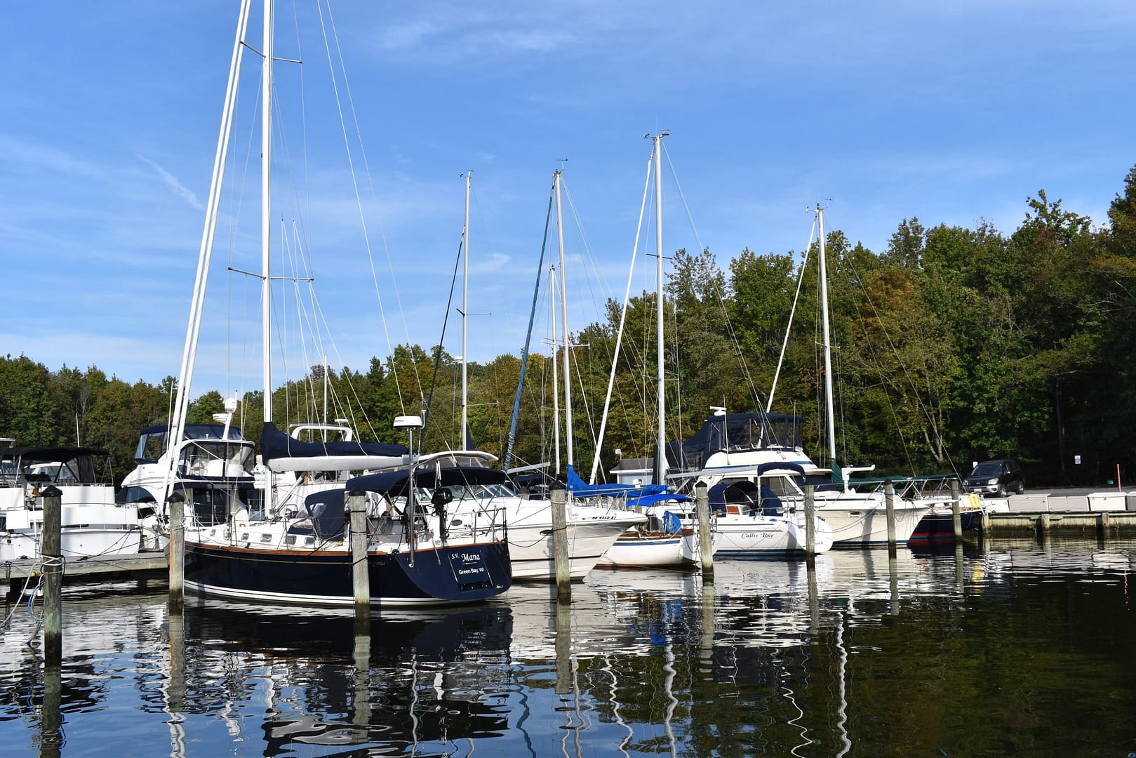 Sailboats in their slips