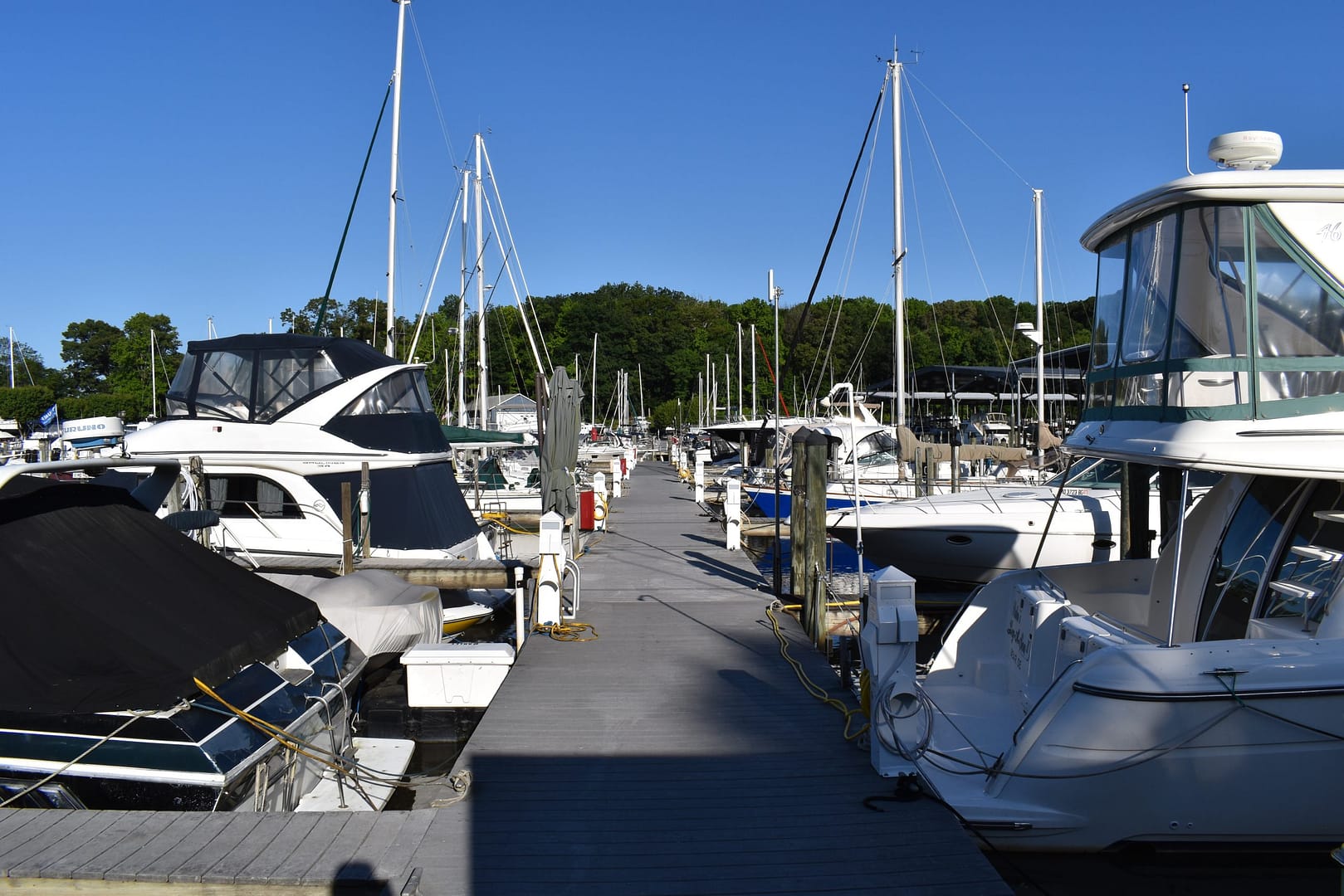 View of dock H