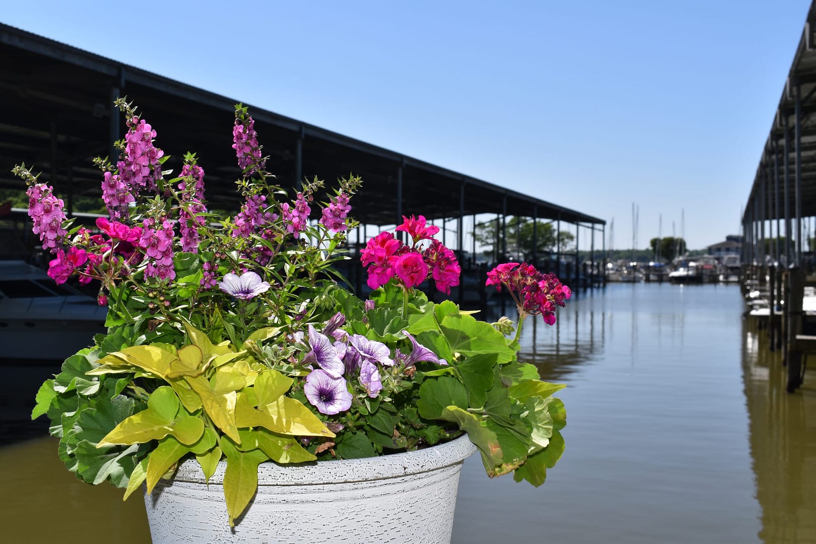 Flowers near E dock