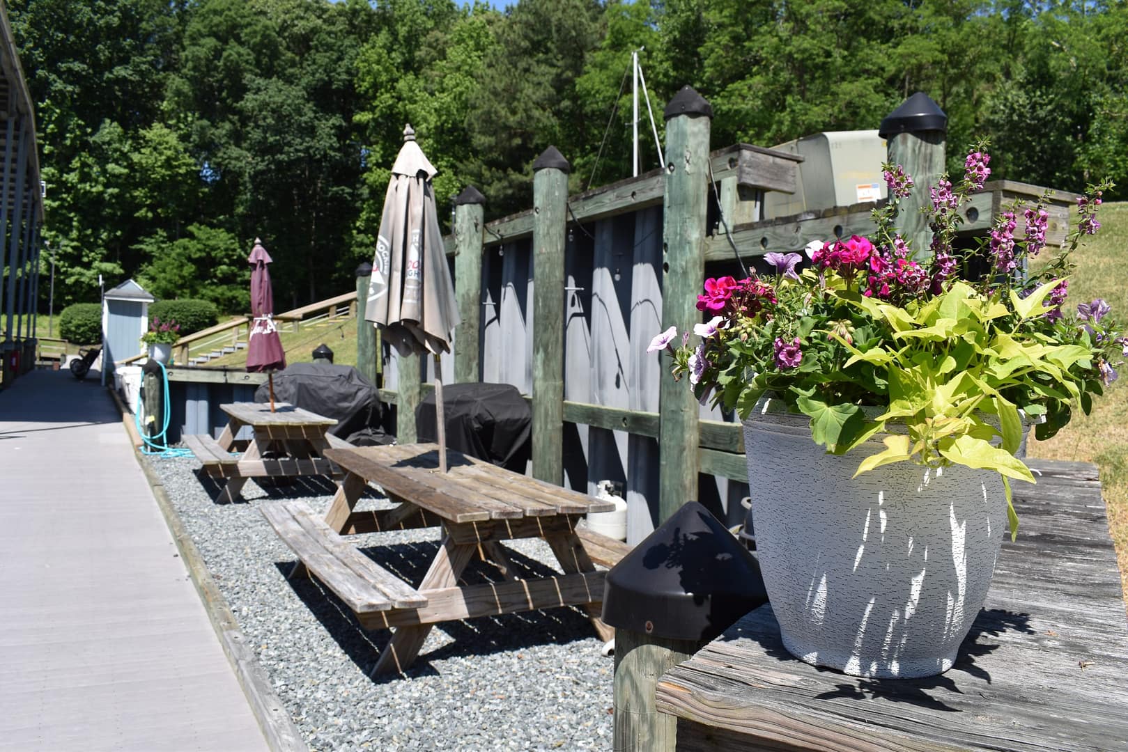 Picnic tables adjacent to D, E and F docks