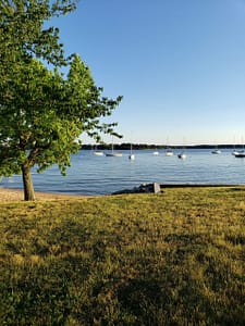View of Bohemia River from the marina