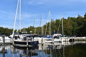 Sailboats in their slips