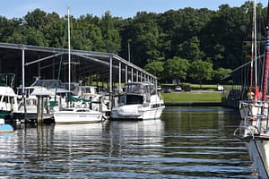 view of wooded area surrounding marina
