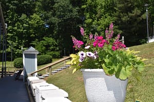 Flowers near E dock also