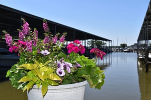Flowers near E dock