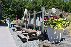 Picnic tables adjacent to D, E and F docks