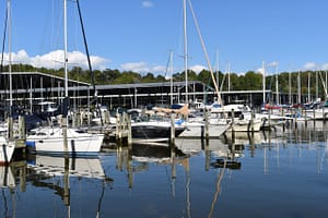 View of B Dock