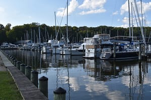 View of I Dock from the river side