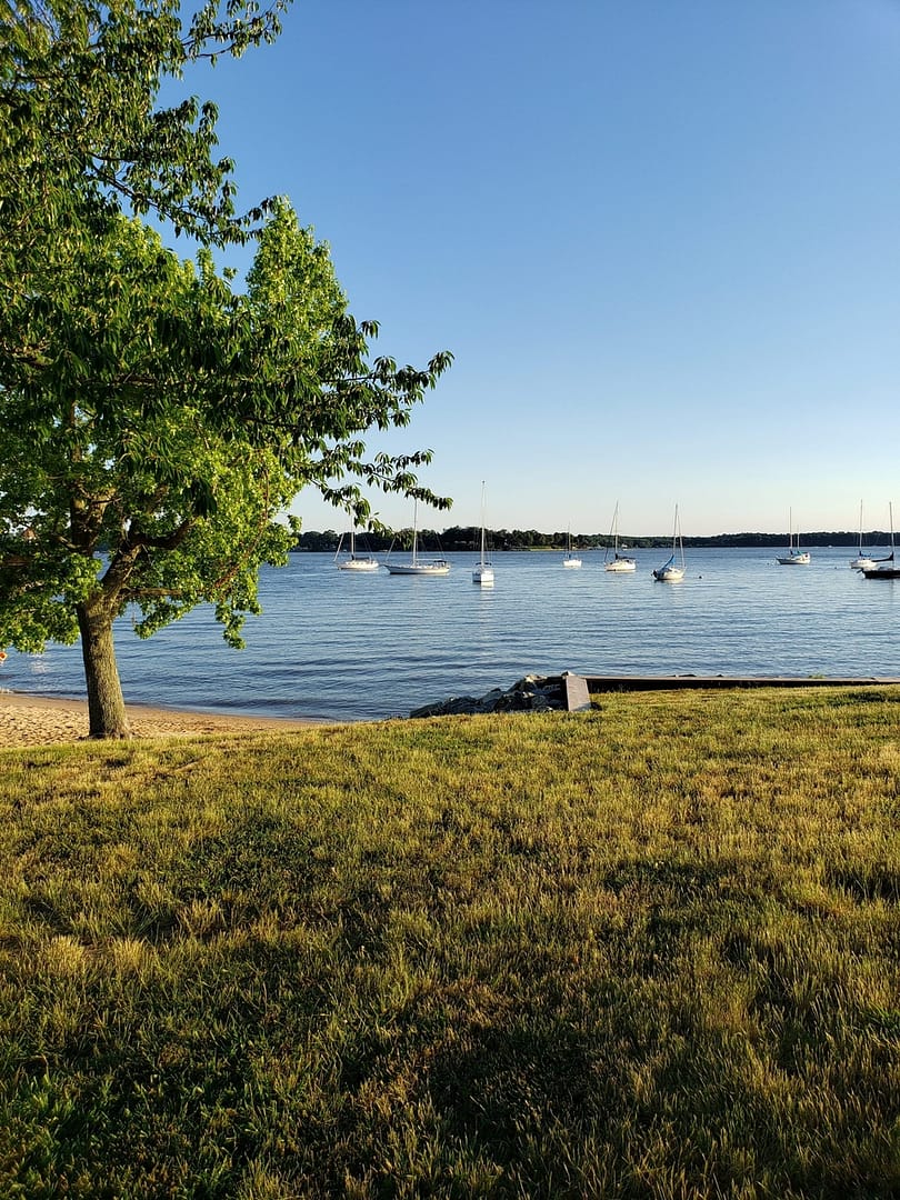 View of Bohemia River from the marina